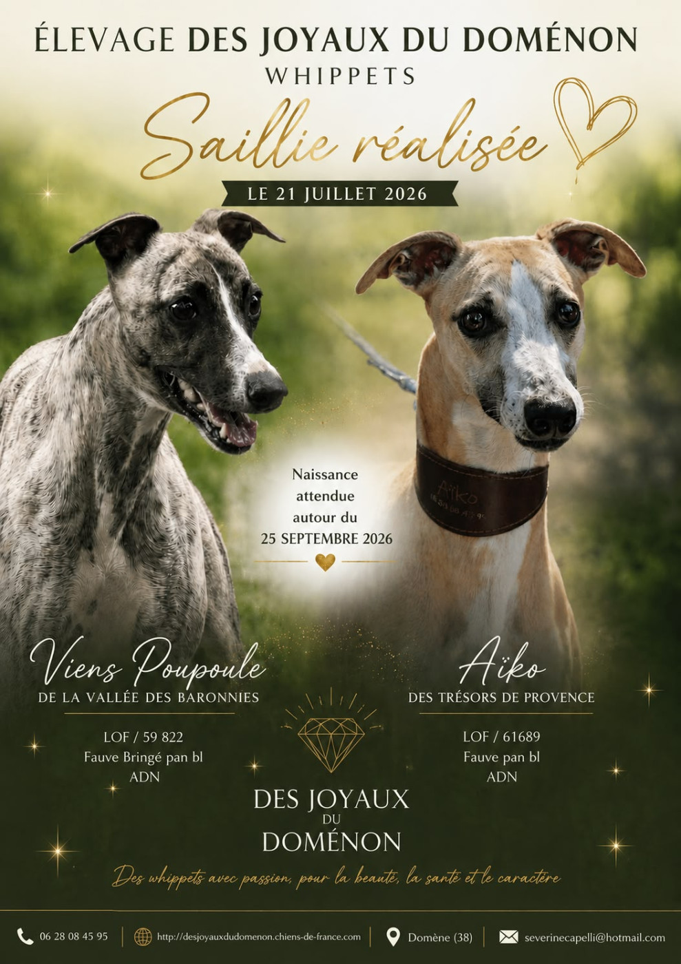 De petits bébés pour bientôt...